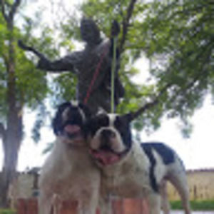 Meet your Posher, Eric